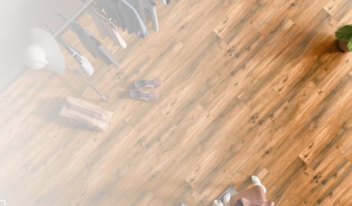 banner image